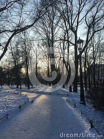 Snow-covered Alexander Garden in St. Petersburg Stock Photo